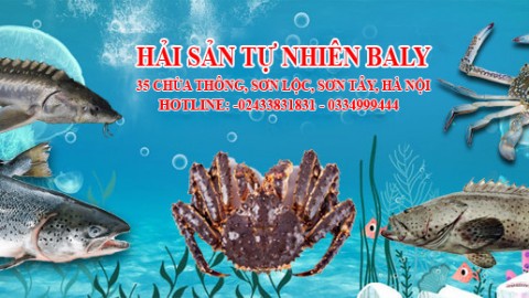 HAI SAN BALY
